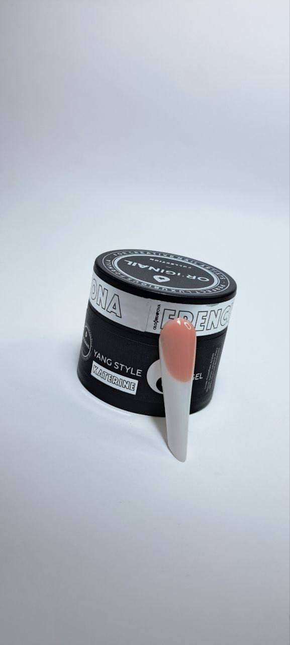Modeling gel Yang FZ KATERINE