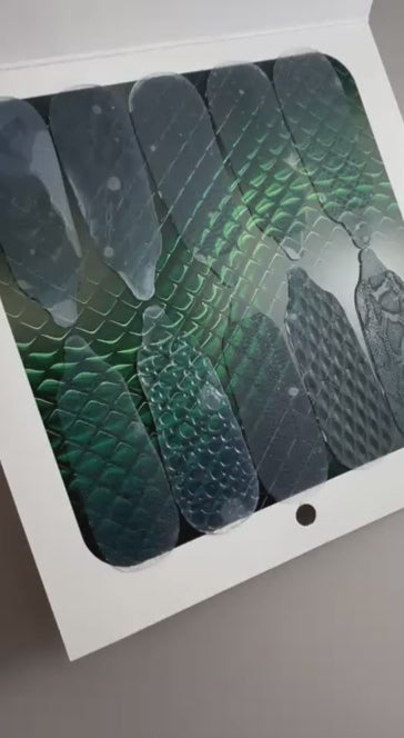 TOUCH REPTILE 2025-zoom-